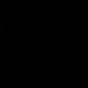 Meet your Posher, Ella